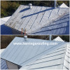 Direct Metal Roof Coating Ashland & Richmond, VA Herring's Roofing